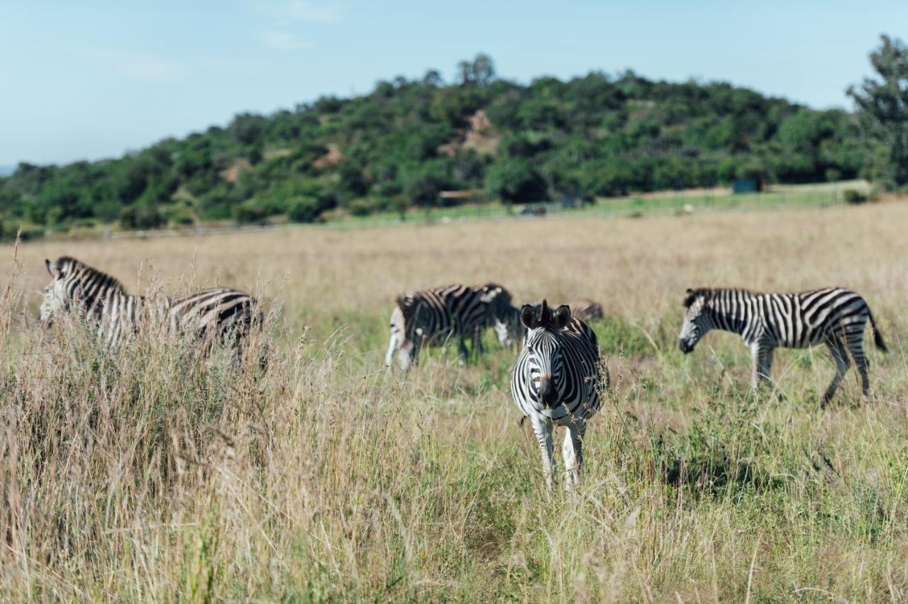 Thaba Eco Hotel Johannesburg Eksteriør bilde